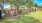 a fenced in yard with trees and a wood fence