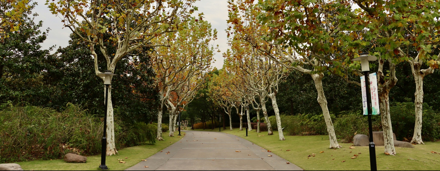 park near sugarland
